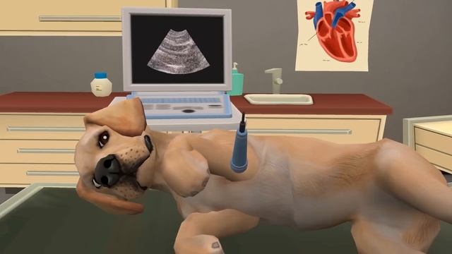 Pet World - My Animal Hospital ? смотреть онлайн