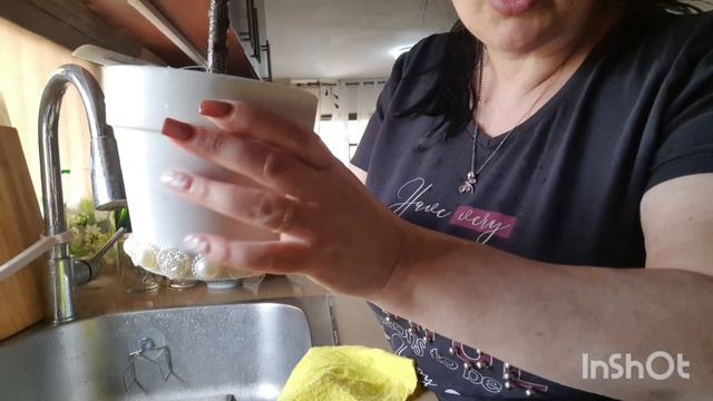 Здала кровь!У нас сильная пыль,делаю уборку!Розы каторые пахнут!Подарок от Анечки!Уход за лицом! смотреть онлайн