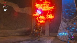 Чудище Ва-Рудания ※ The Legend of Zelda: BotW #41