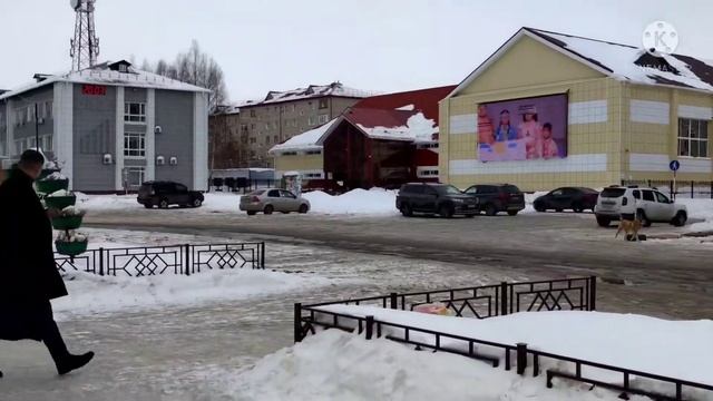 Мегион - город нефтяников и сытых собак #бродячиесобакивцентрегорода#ХМАО#ЮГРА# смотреть онлайн