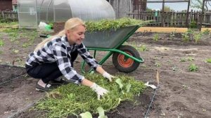 РАБОТЫ ХВАТАЕТ НА 30 СОТКАХ/КОСИМ, САЖАЕМ С УТРА И ДО ВЕЧЕРА