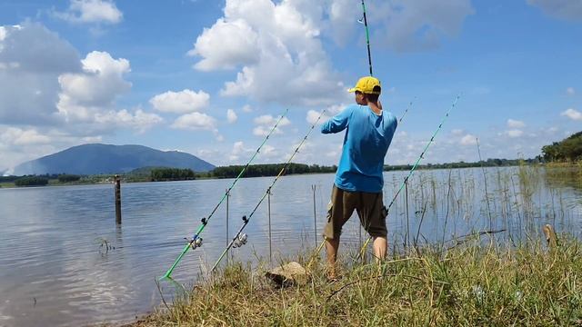 ?Fishing | Ra hồ gia ui Test Cám Nền Tổng Hợp Và Kết quả Bất Ngờ | Part 1 | Đam Mê Câu Cá смотреть онлайн