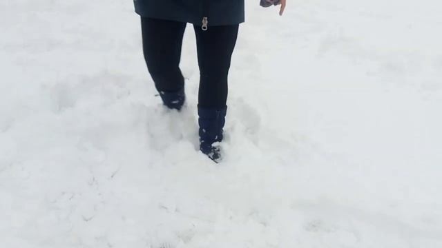 Прогулка в сапогах Нордман Селена, 01.01.20, Самара смотреть онлайн