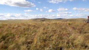 ДАУРИЯ  Калинов Мост