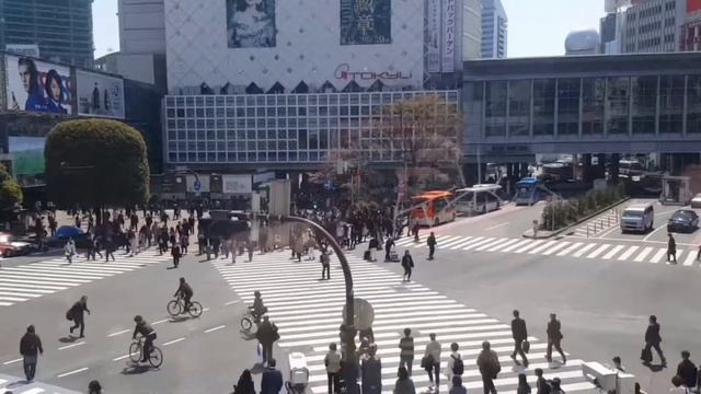 Сибуя(Shibuya)