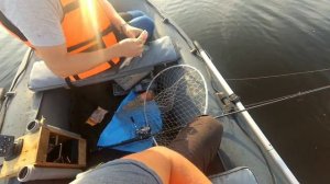Рыбалка  выходного дня на Каме;Ловим хищника