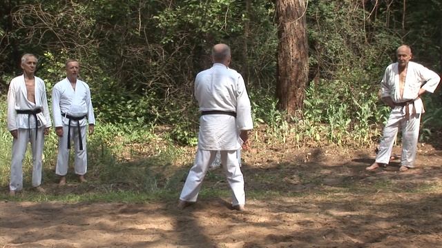 Сейсан. Олег Ладыженский. 39-й экзамен по каратэ. Харьков-2019 Karate смотреть онлайн
