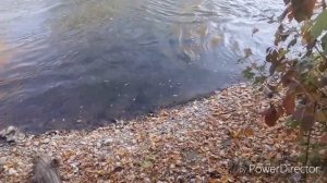 Рыбалка на подкумке ищим заводи