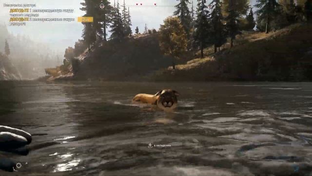 Far Cry 5 обзор - ПУМА ЗАСТАЛА В РАСПЛОХ ПРИ ЛОВЛЕ РЫБЫ far cry 5 прохождение смотреть онлайн
