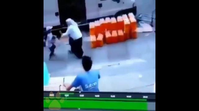 Cat Special Forces - Fearless Warrior Cats | Funny Cats Videos #20