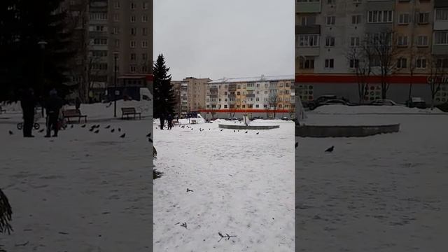 Наш первый выход после Новогодних праздников. смотреть онлайн