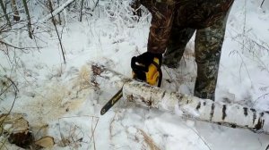 Обзор бензопилы чемпион 251