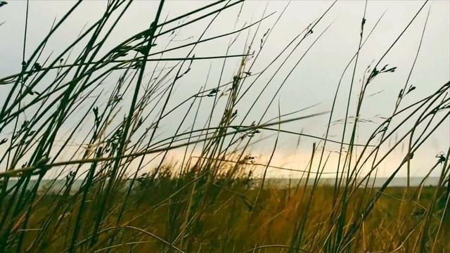 Island | Исландия | Природа | time to travel смотреть онлайн