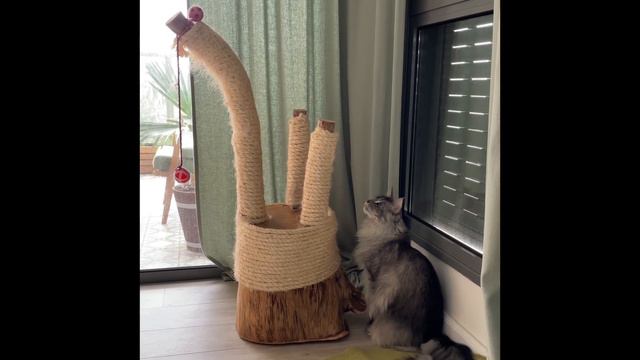 прыжок мейн куна 2 смотреть онлайн