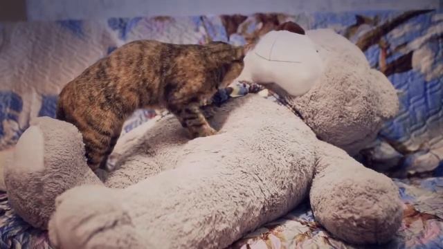 Мягкий будильник смотреть онлайн