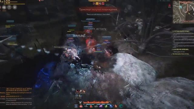 Black desert Быстро про Мистик. (beast master) смотреть онлайн