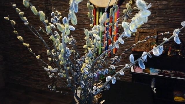 Ритуал с Вербой на здоровье смотреть онлайн