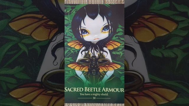 Sacred Beetle Armor (38) ? Oracle of the Shapeshifters card meaning смотреть онлайн
