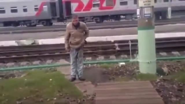 Насрал?! Убирай! Я тебе сейчас лопату дам! смотреть онлайн