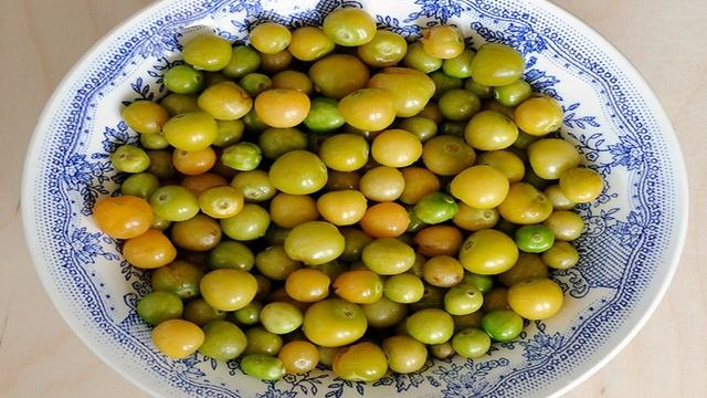 Сборник рецептов