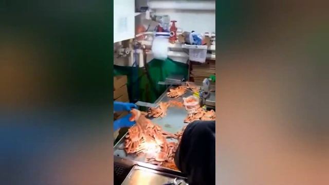 Промысел,ловля краба! смотреть онлайн