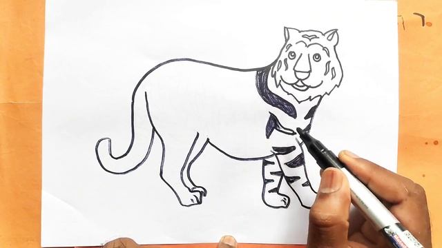 How to Draw a Tiger Easy ?Cute Cartoon Animal смотреть онлайн