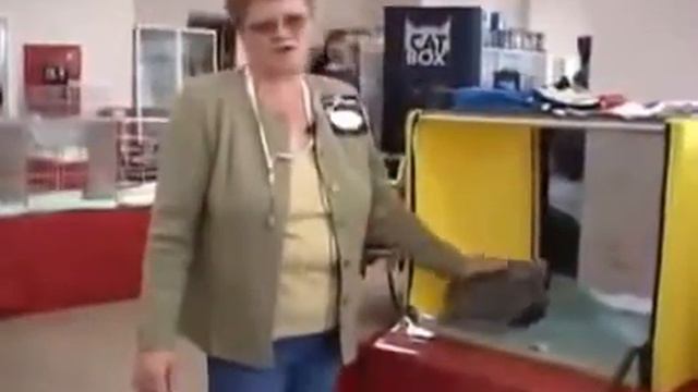 ВЫСТАВКА: БРИТАНСКАЯ КОШКА смотреть онлайн