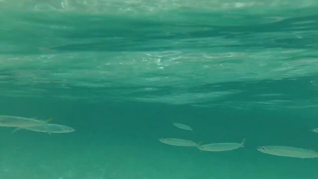 CUBA 2016 Iberostar Selection Playa Pilar смотреть онлайн