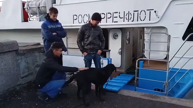 Рос Мор Реч Флот Макаровка Бриз 34 Жил Был Пес Музей Пса смотреть онлайн