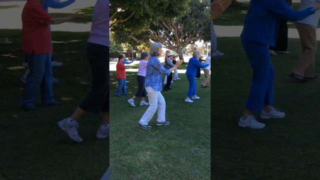Barb Goldthwaite leads Yang Style Tai Chi Part 3 смотреть онлайн