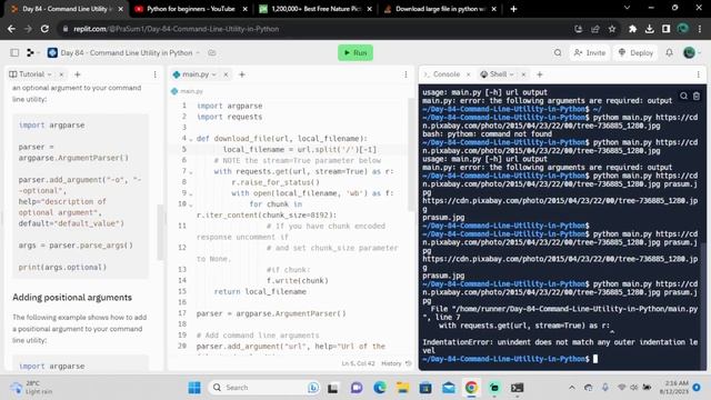2023 | python for beginners | Creating Command line utility in Python | Day 84 смотреть онлайн