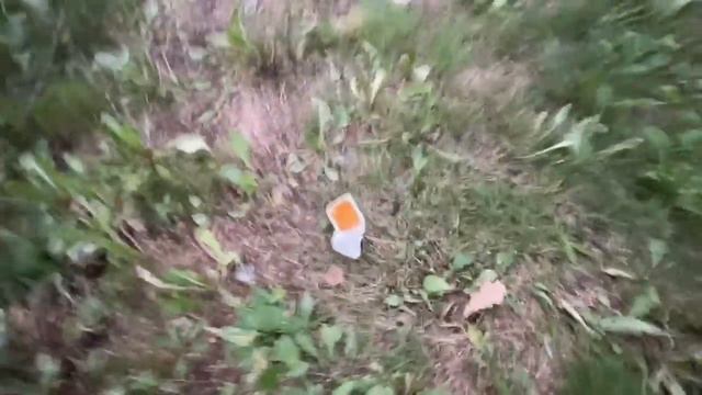 Кореш и Акулич пошли гулять в парк, а попали на сходку смотреть онлайн