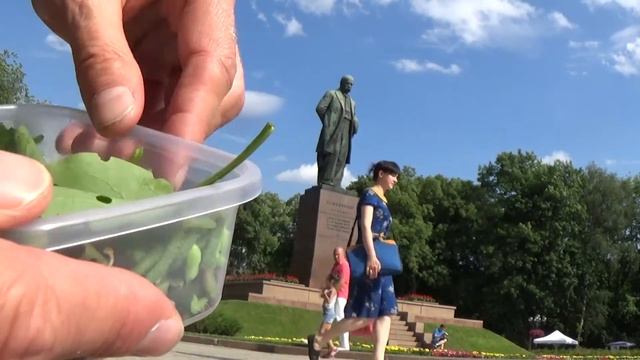 Зеленые Червячки около Тараса Шевченко? Откуда? Почему? смотреть онлайн
