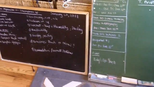 Tarantula Mythbuster 11 - Detailed Vid On Goliath Bird Eater (Theraphosa Species)