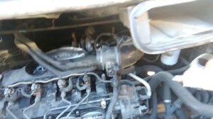 ford transit. неровный холостой. дергается..