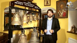 025  Урок 10  Разнообразие зазвонных  Слабые доли