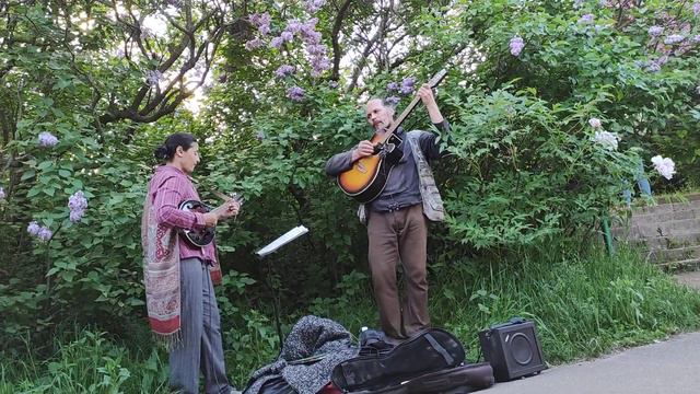 #уличнаямузыка в Киеве. Мандолина и Гитара. Ирина Михай и Дмитрий Полин смотреть онлайн