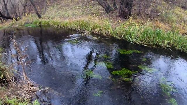Природный парк чудес Кудыкина Гора Каменка смотреть онлайн