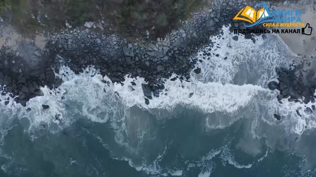 Как Исцелить Свою Психику и Оставаться в Гармоничном Спокойствии Всю Жизнь! l НИКОШО смотреть онлайн