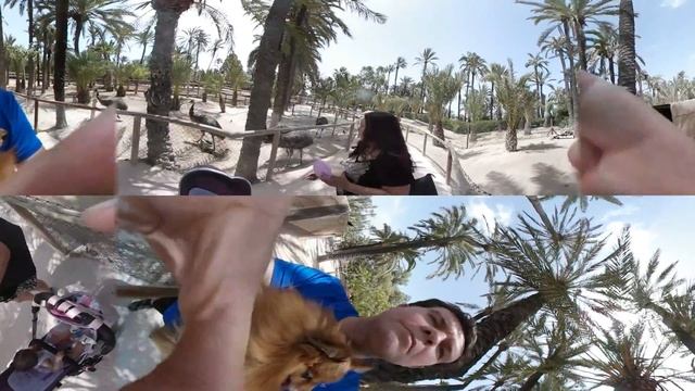 Rio Safari Elche (0) смотреть онлайн