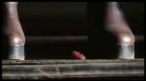 И все-таки я люблю