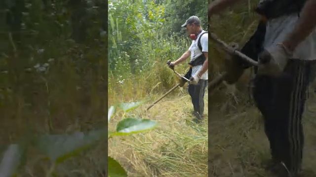 Stihl fs 550 смотреть онлайн