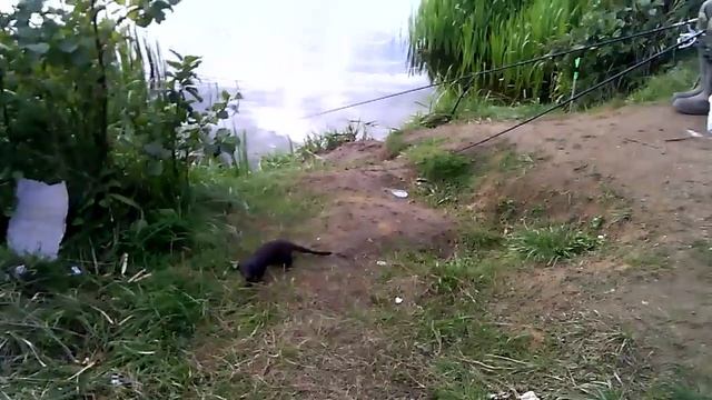 Витос-добрая душа смотреть онлайн