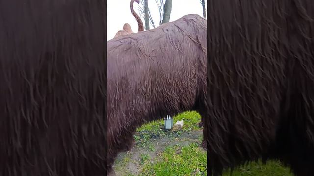 Охота на мамонтов! смотреть онлайн