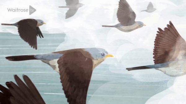 Michael Morpurgo reading Coming Home | Waitrose