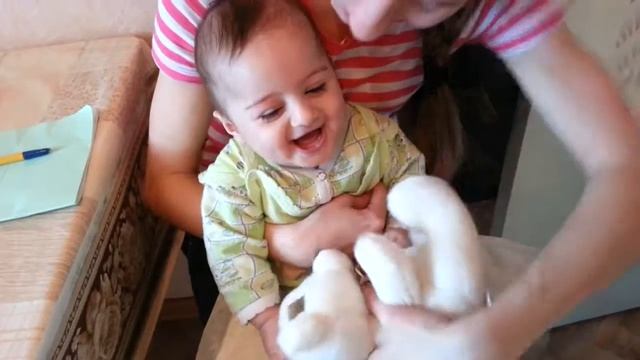 Мишка косолапый по лесу идет. смотреть онлайн