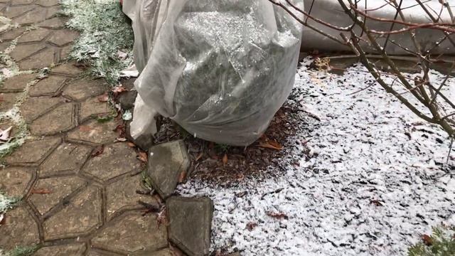 Готовим сад к зиме ч. 2. смотреть онлайн