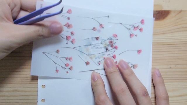 [ASMR] ?다메 다꾸✏?| ??꽃들에게 박제를?? смотреть онлайн
