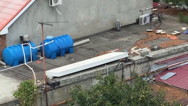 Геленджик. Голубые слоники 🐘 🐘 на 🍋 лимонном 🌳 дереве смотреть онлайн