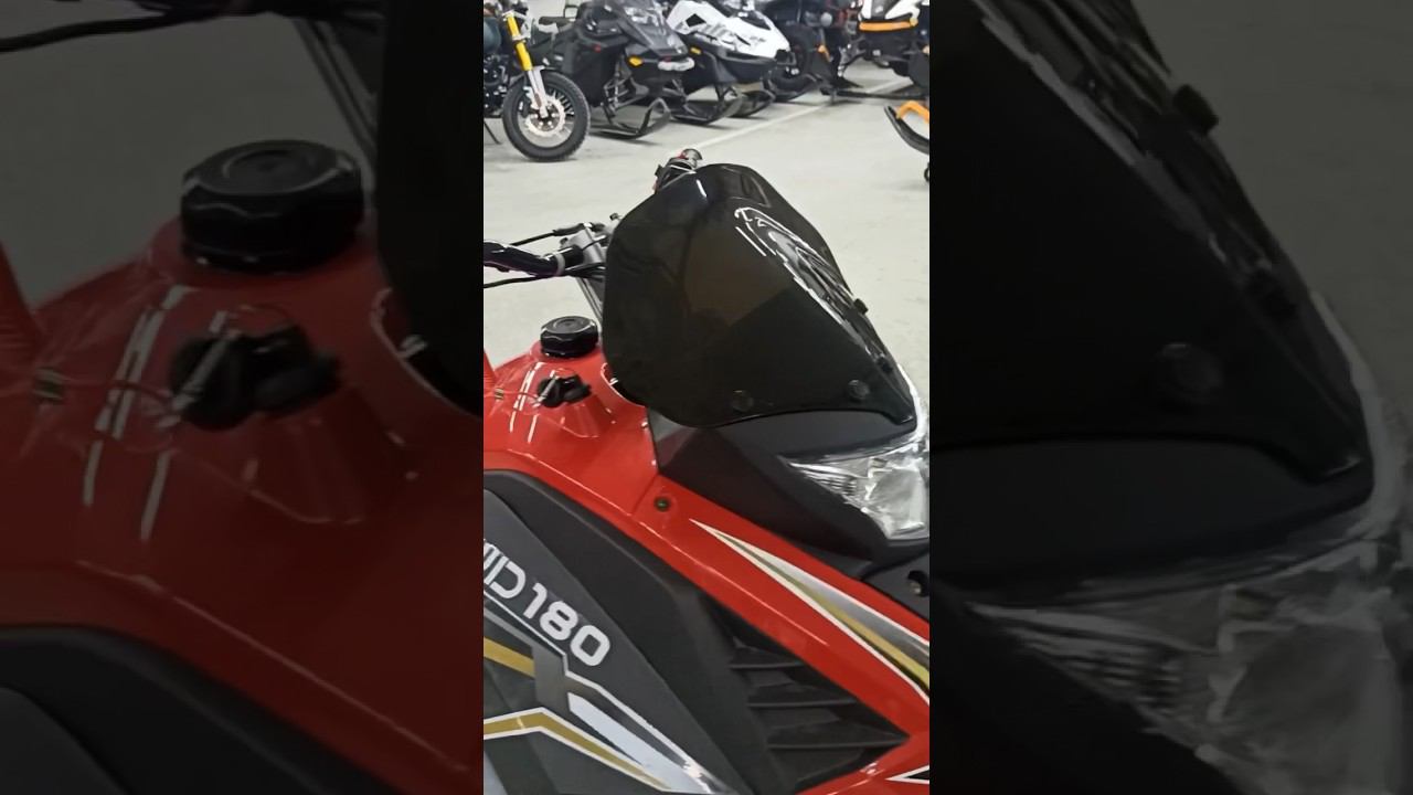 Обзор снегохода Woideal Барс WD 180 EFI. Часть вторая. смотреть онлайн